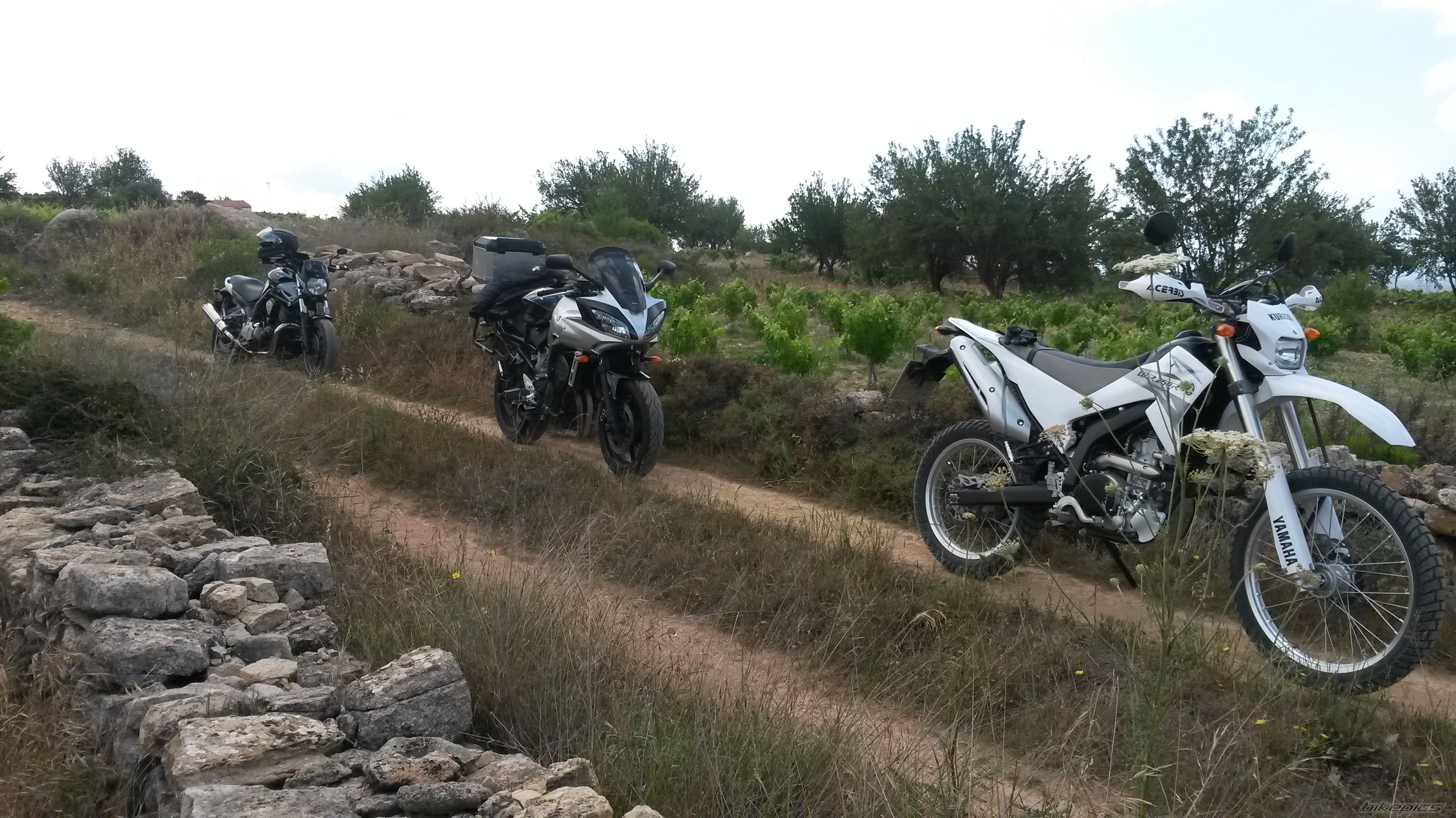 2008 YAMAHA WR 250 | Picture 2676466 motorcycle photo