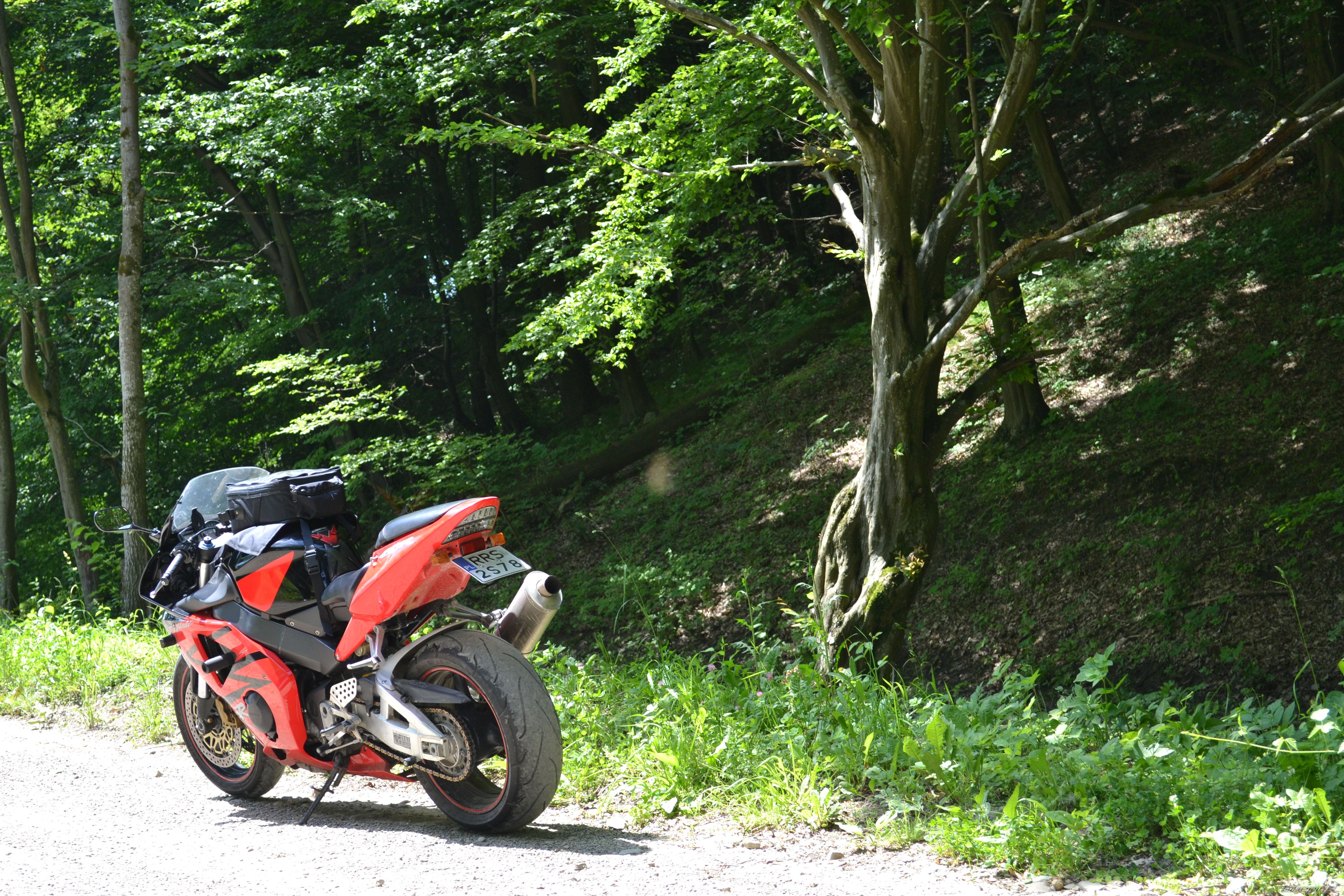 2003 HONDA CBR 954RR | Picture 2676980 motorcycle photo