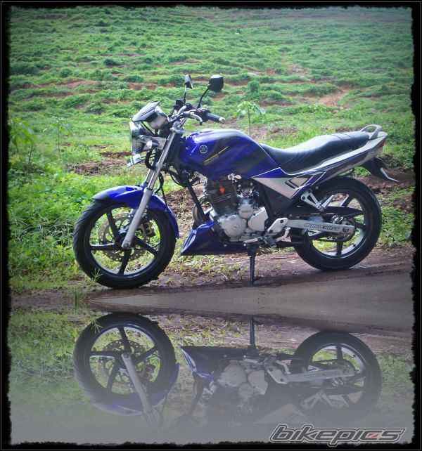 2006 YAMAHA SCORPIO 225 | Picture 2677068 motorcycle photo