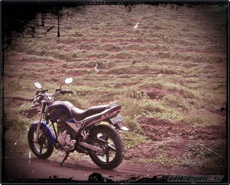 2006 YAMAHA SCORPIO 225 | Picture 2677069 motorcycle photo