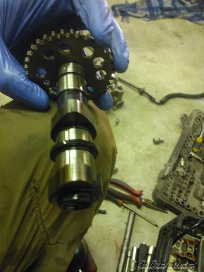    | Picture 2677349 motorcycle photo
