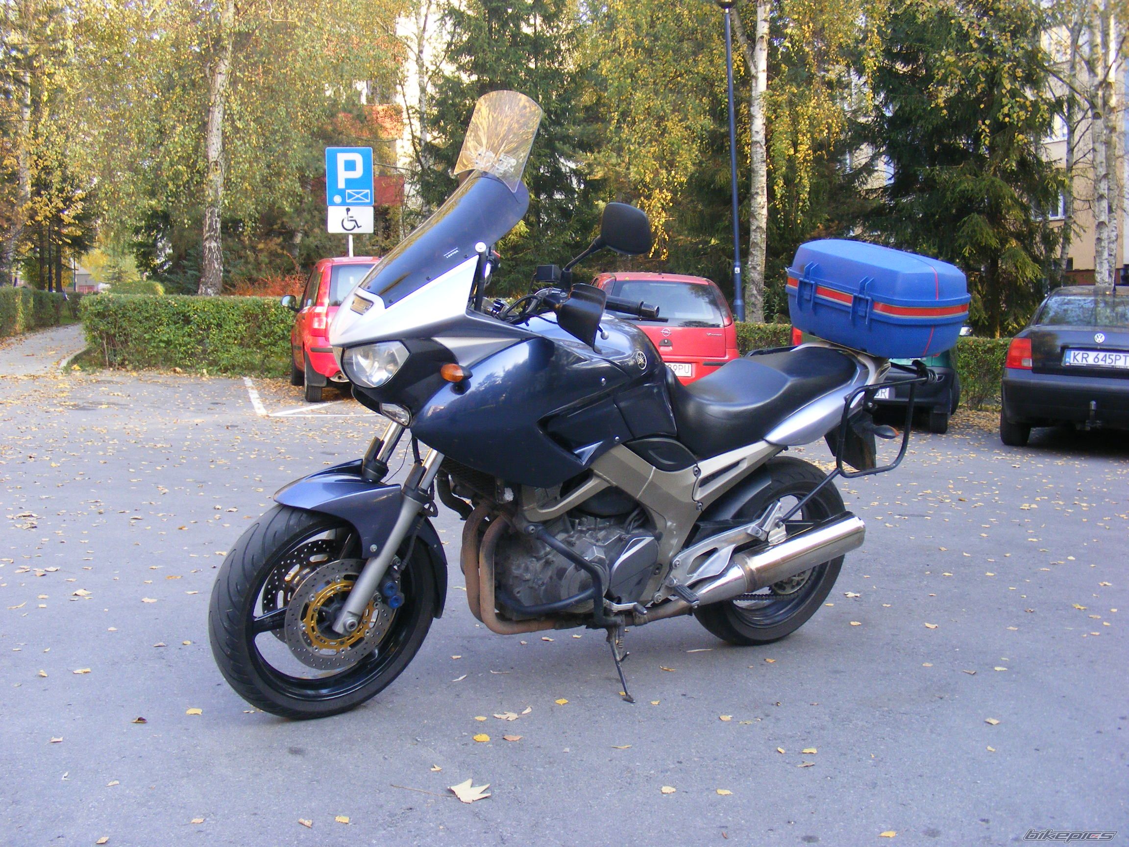 2003 YAMAHA TDM 900 | Picture 2677514 motorcycle photo