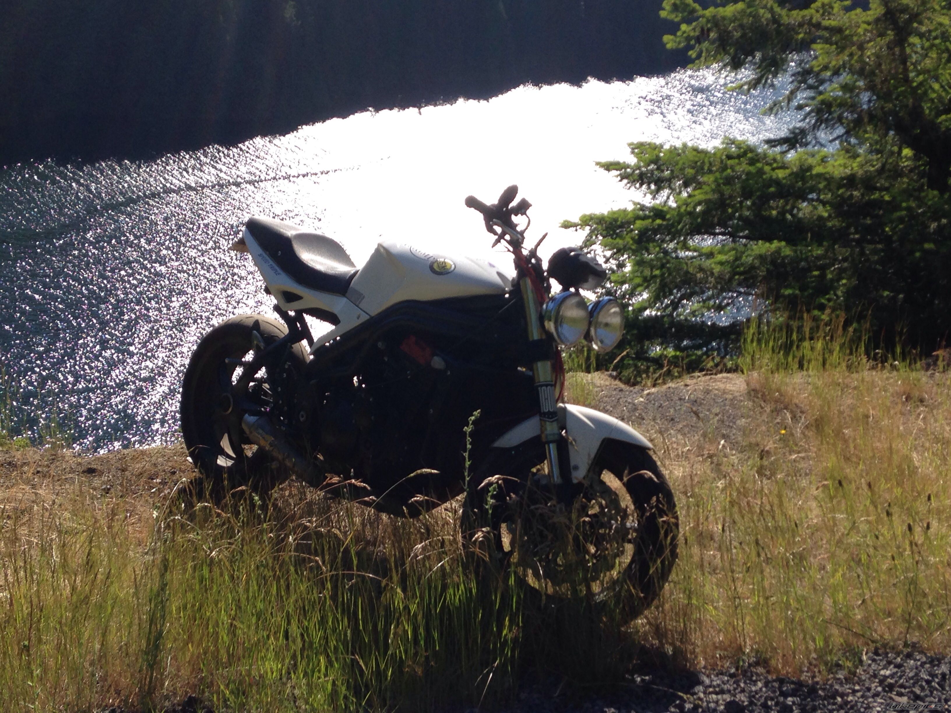 2006 TRIUMPH SPEED TRIPLE | Picture 2677974 motorcycle photo