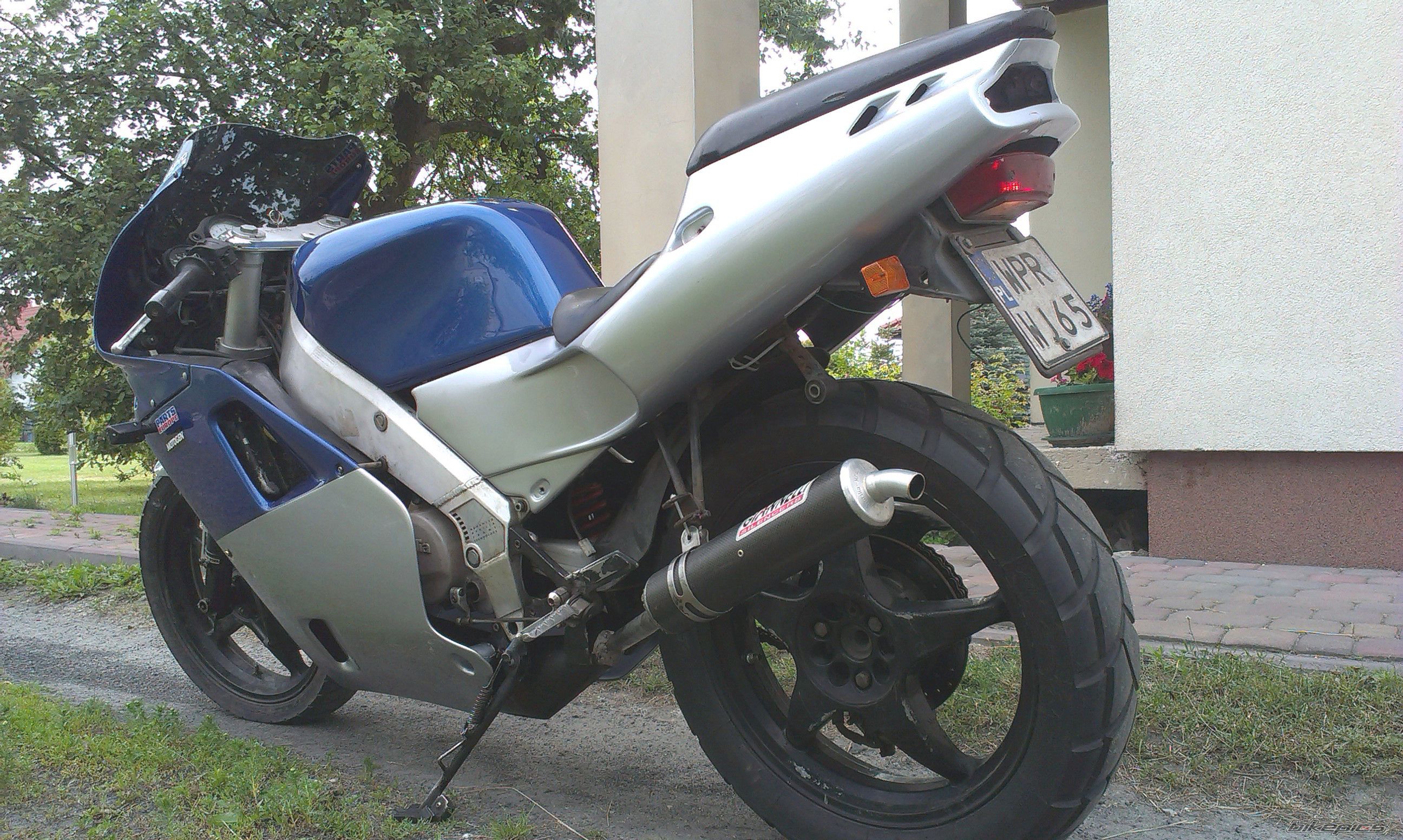 1991 APRILIA AF1 SPORT PRO 125 | Picture 2678368 motorcycle photo