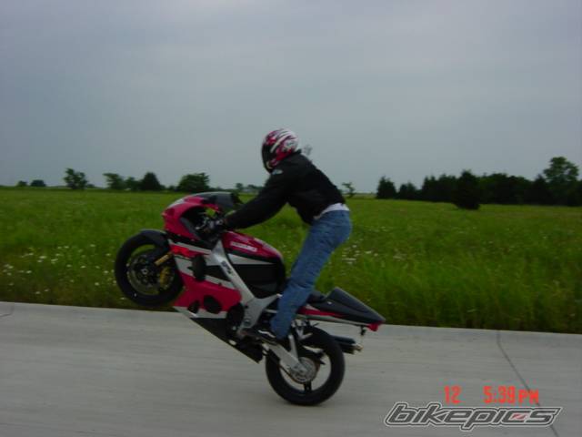 2002 SUZUKI GSX R 1000 | Picture 26786 motorcycle photo
