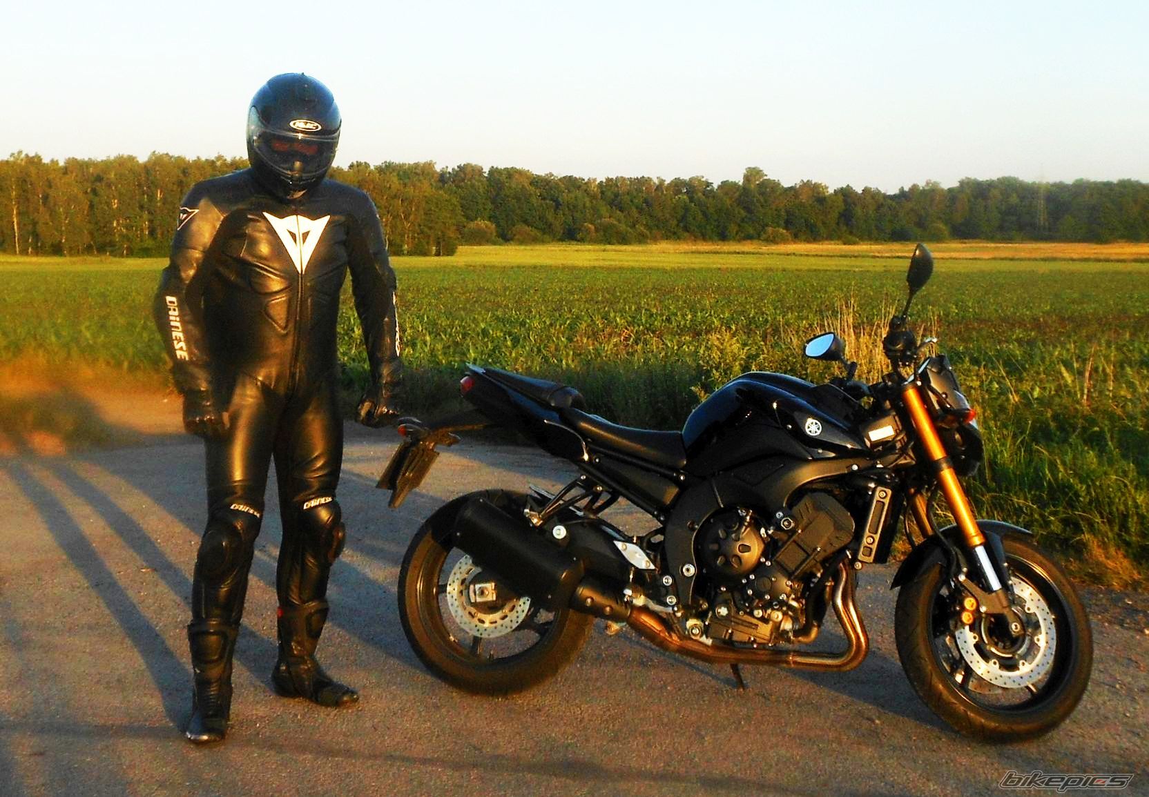 2009 YAMAHA FZ 8 | Picture 2679275 motorcycle photo