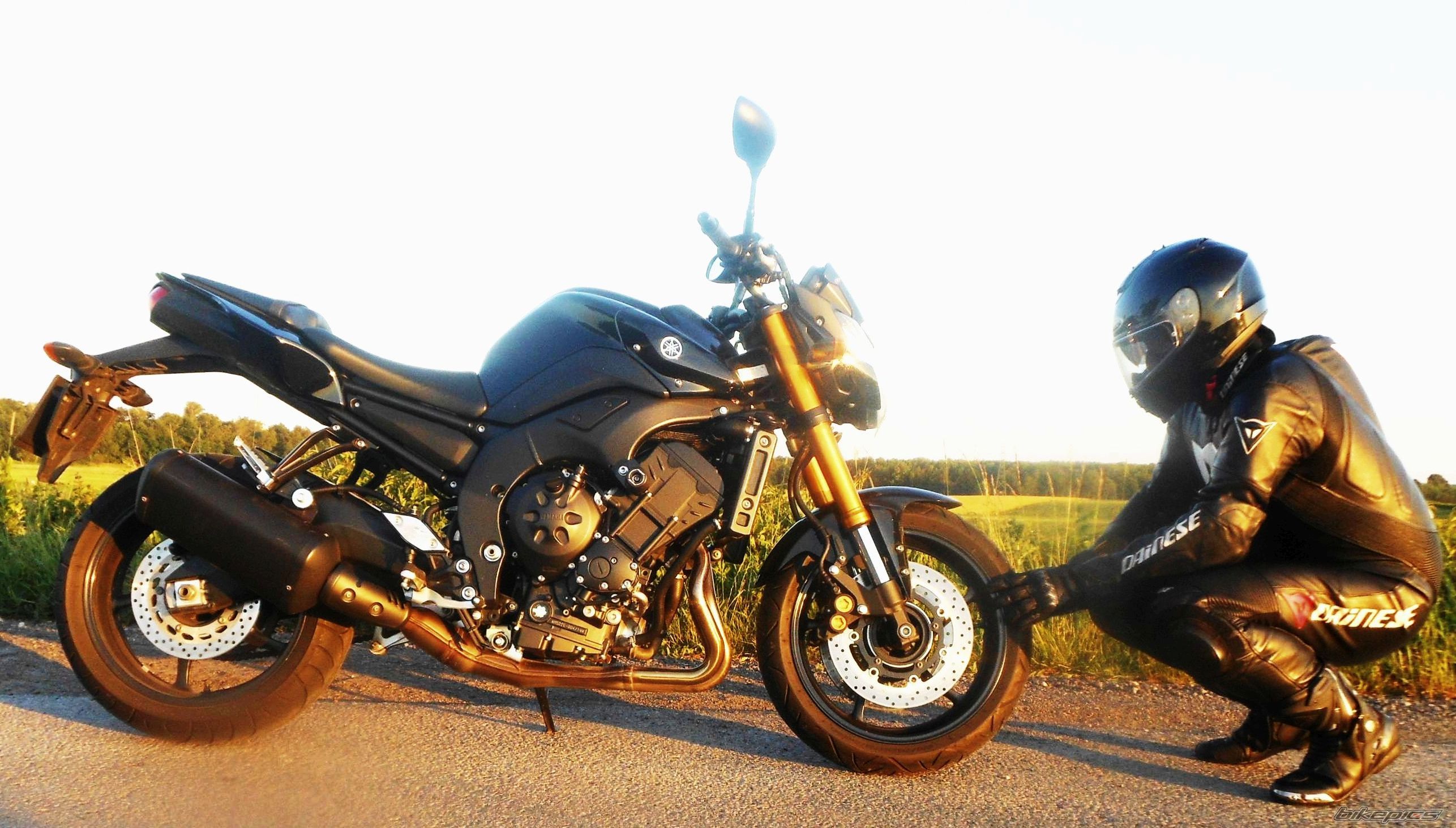 2009 YAMAHA FZ 8 | Picture 2679276 motorcycle photo