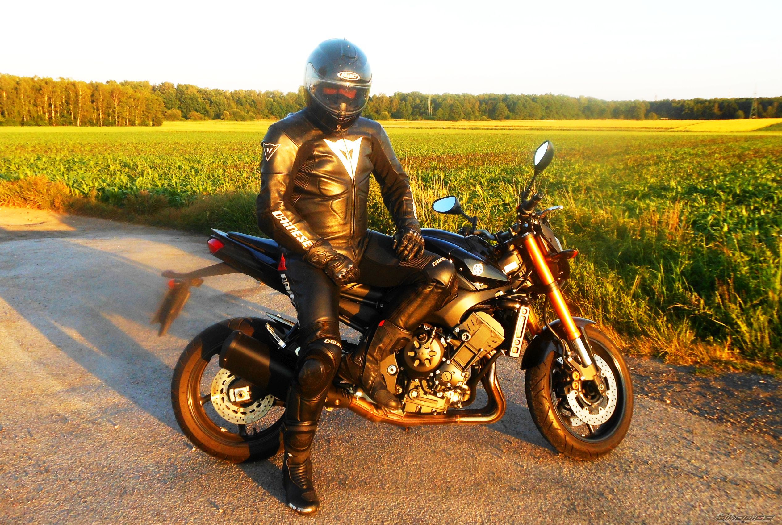 2009 YAMAHA FZ 8 | Picture 2679281 motorcycle photo