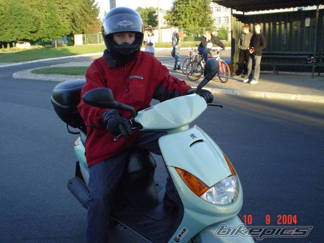 2004 APRILIA SR RACING 50 | Picture 268055 motorcycle photo