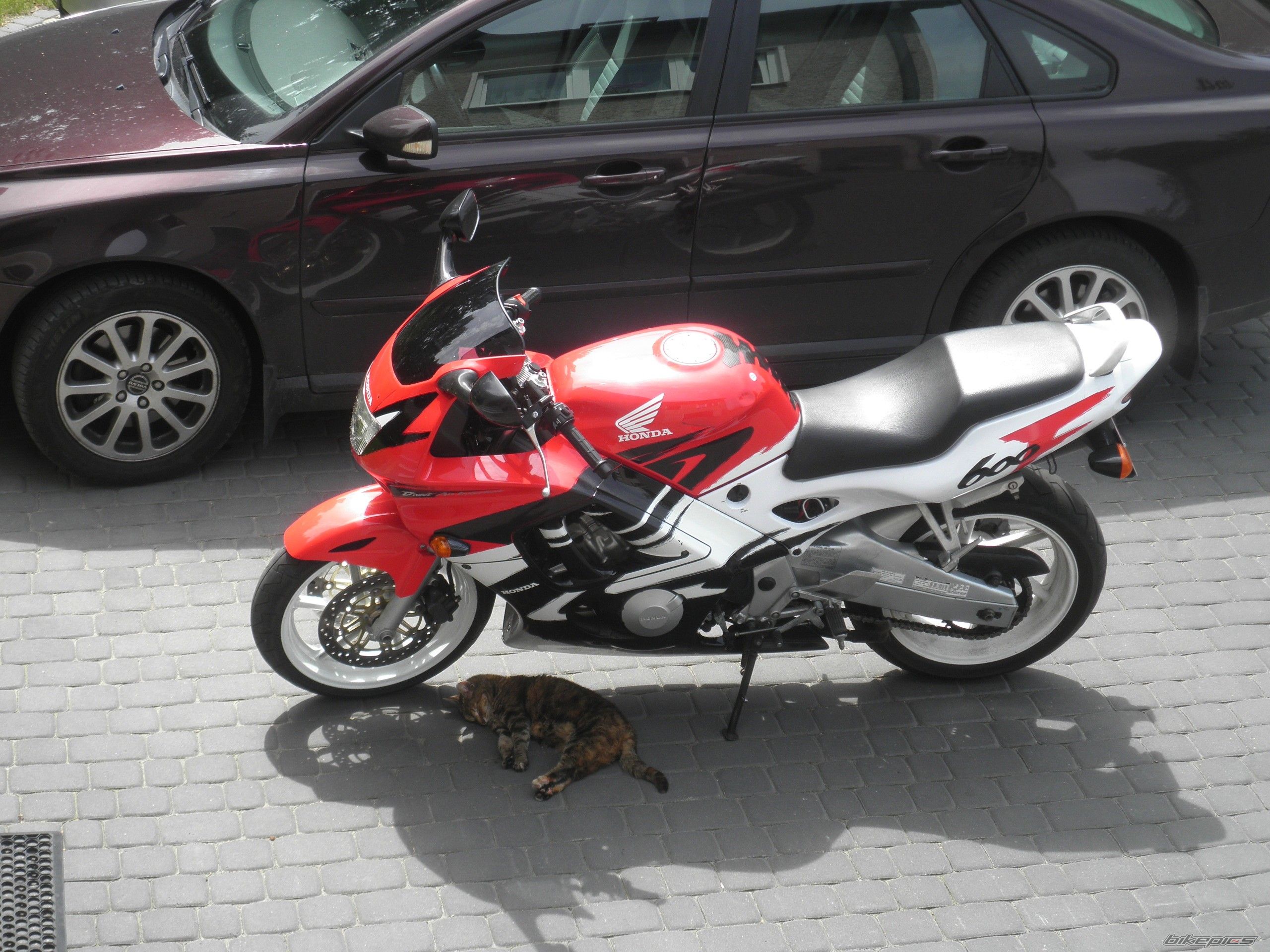 1997 HONDA CBR 600 | Picture 2681278 motorcycle photo