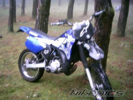 2001 YAMAHA DT 125 | Picture 268133 motorcycle photo