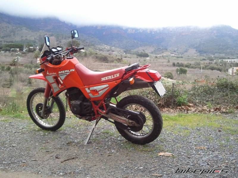 1990 CAGIVA T4 500 | Picture 2681769 motorcycle photo