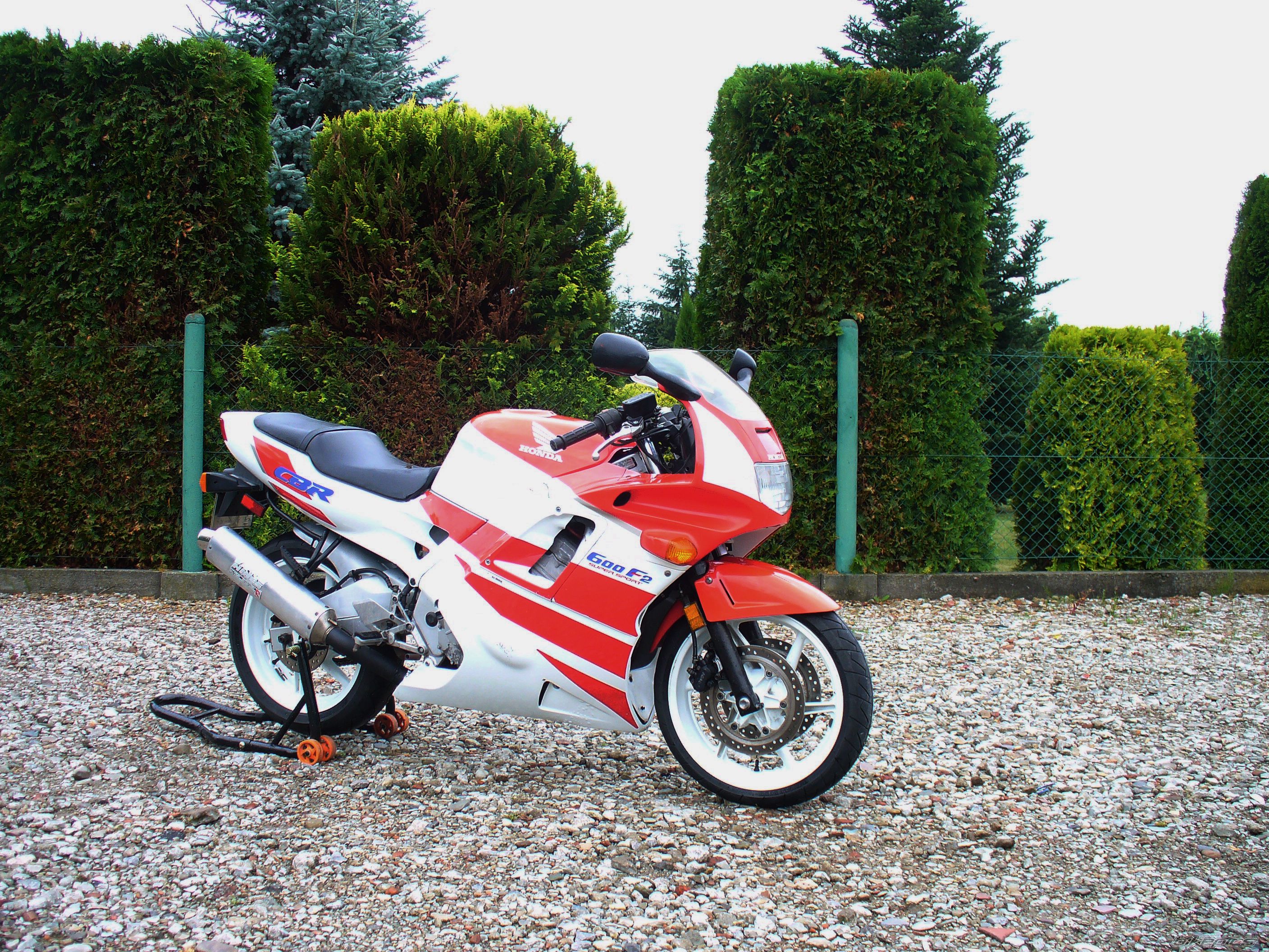 1993 HONDA CBR 600 | Picture 2681880 motorcycle photo