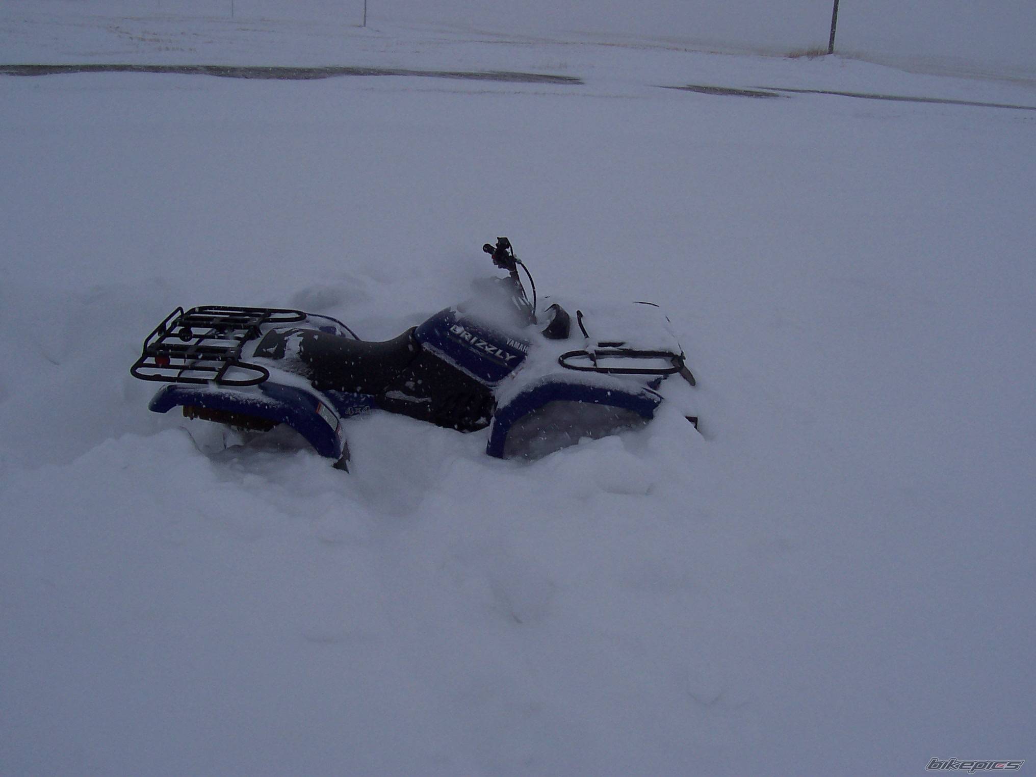 2004 YAMAHA GRIZZLY | Picture 268213 motorcycle photo