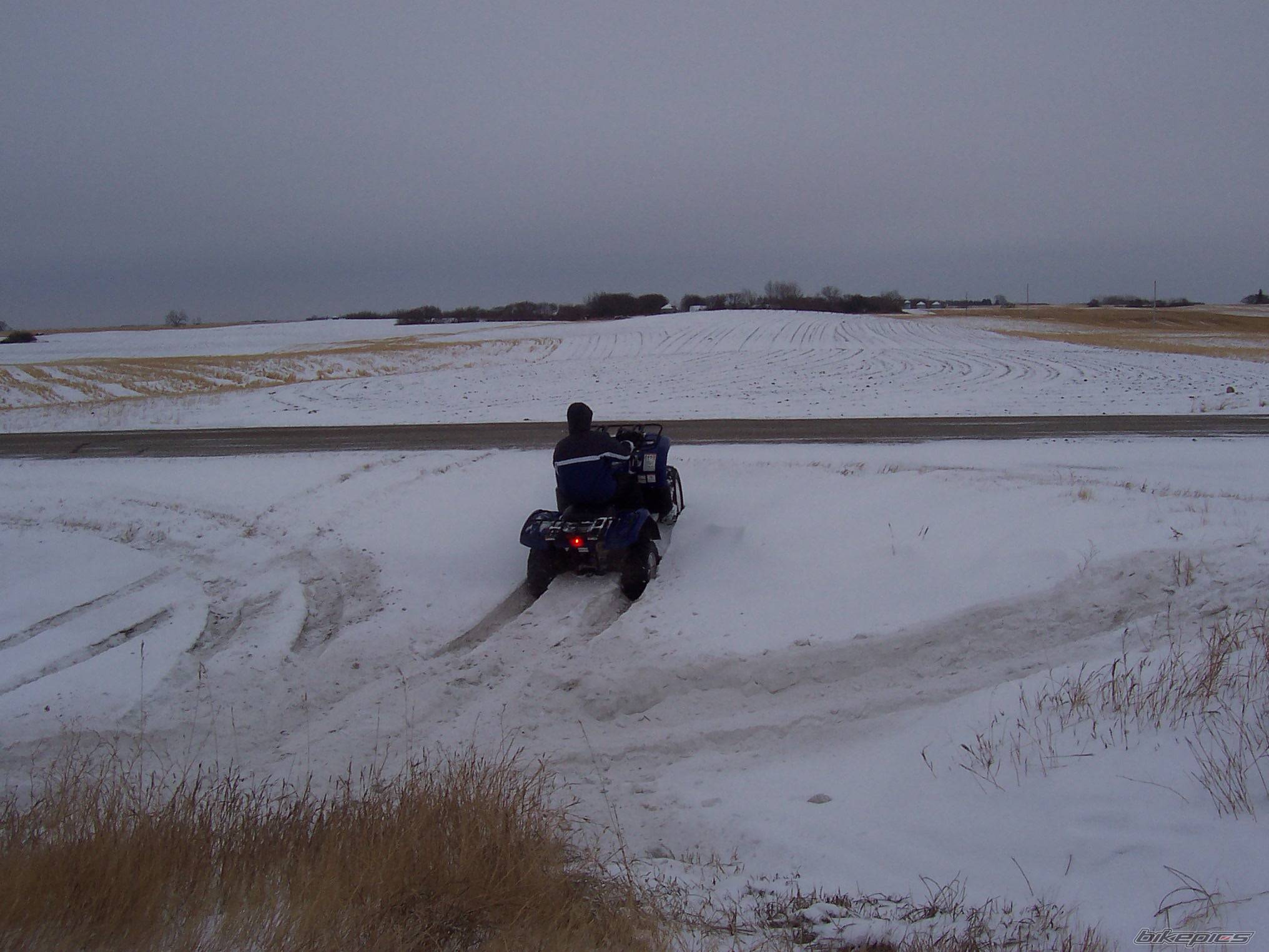 2004 YAMAHA GRIZZLY | Picture 268224 motorcycle photo