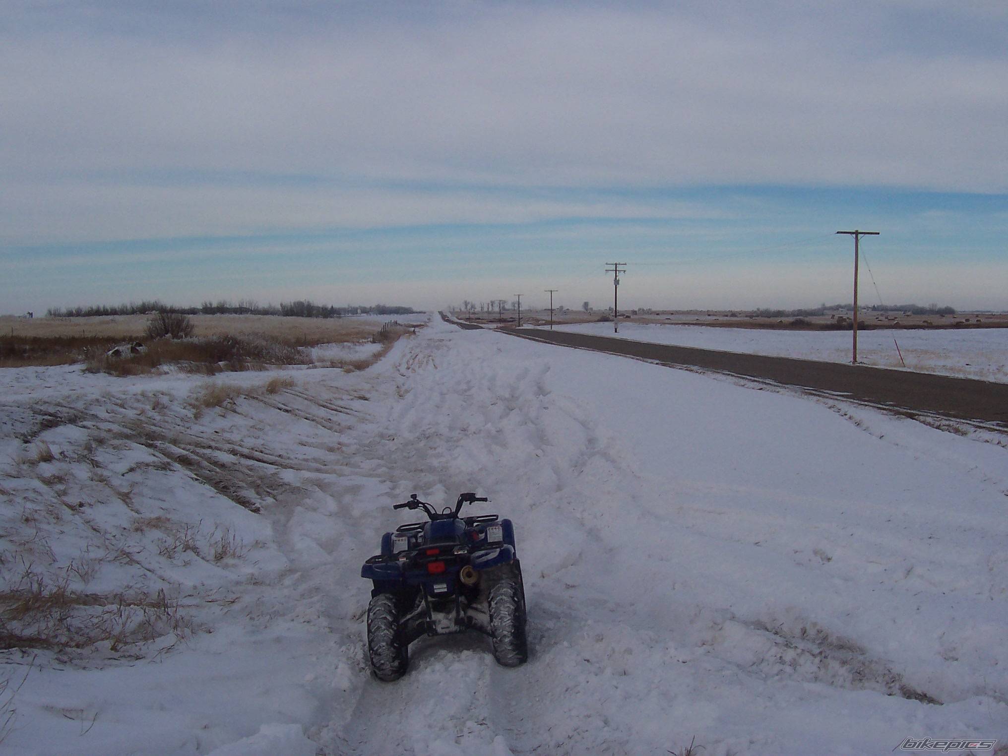 2004 YAMAHA GRIZZLY | Picture 268233 motorcycle photo