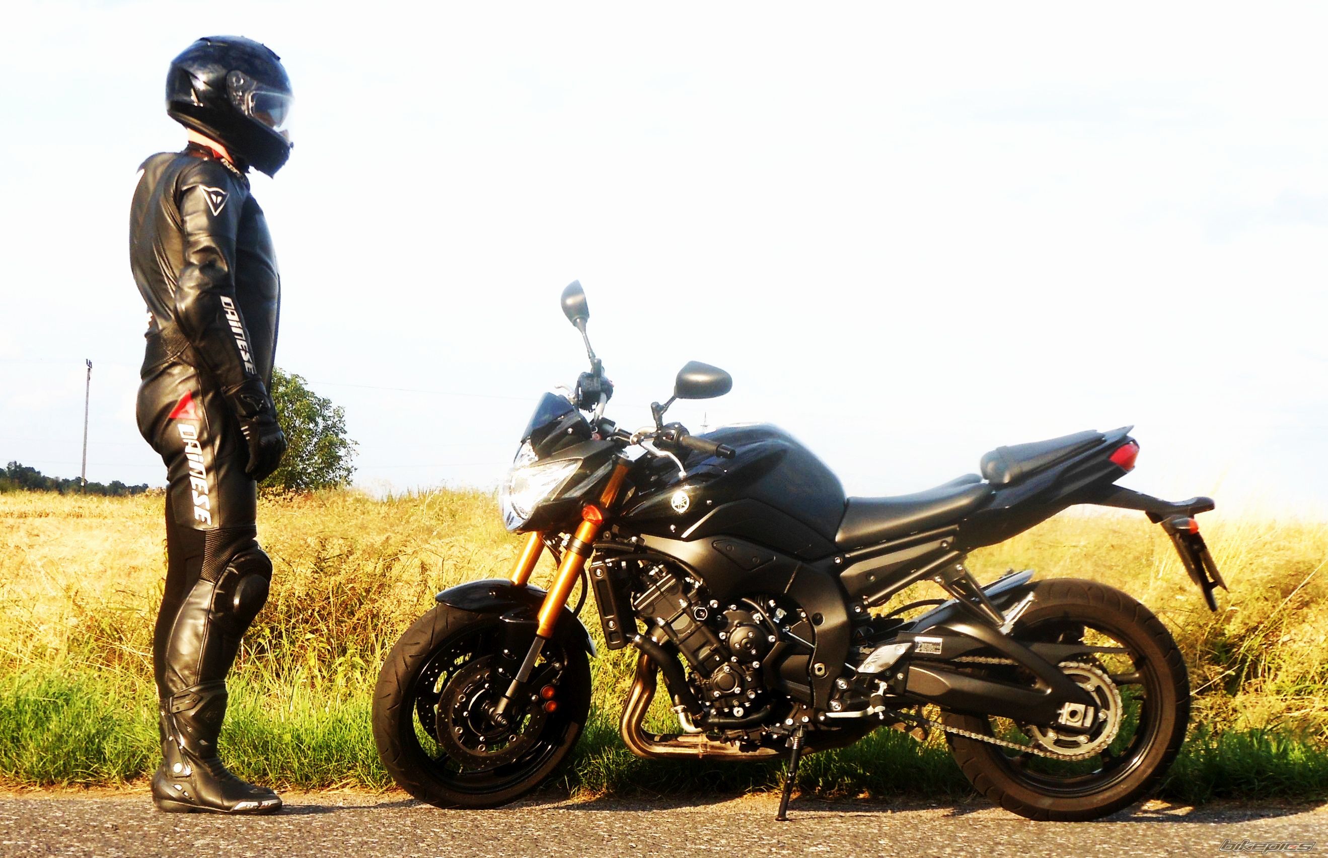 2009 YAMAHA FZ 8 | Picture 2682391 motorcycle photo