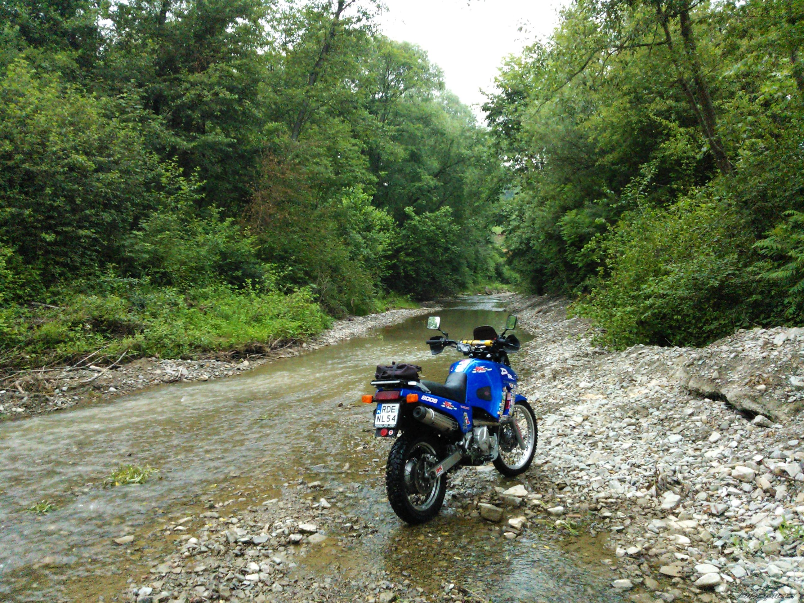 1995 SUZUKI DR 800 | Picture 2682396 motorcycle photo