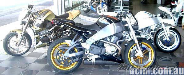 2004 BUELL XB12S LIGHTNING | Picture 268274 motorcycle photo