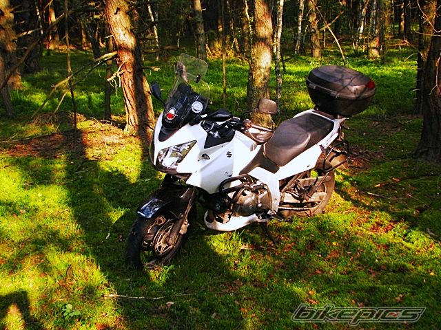 2004 SUZUKI DL 650 | Picture 2685972 motorcycle photo