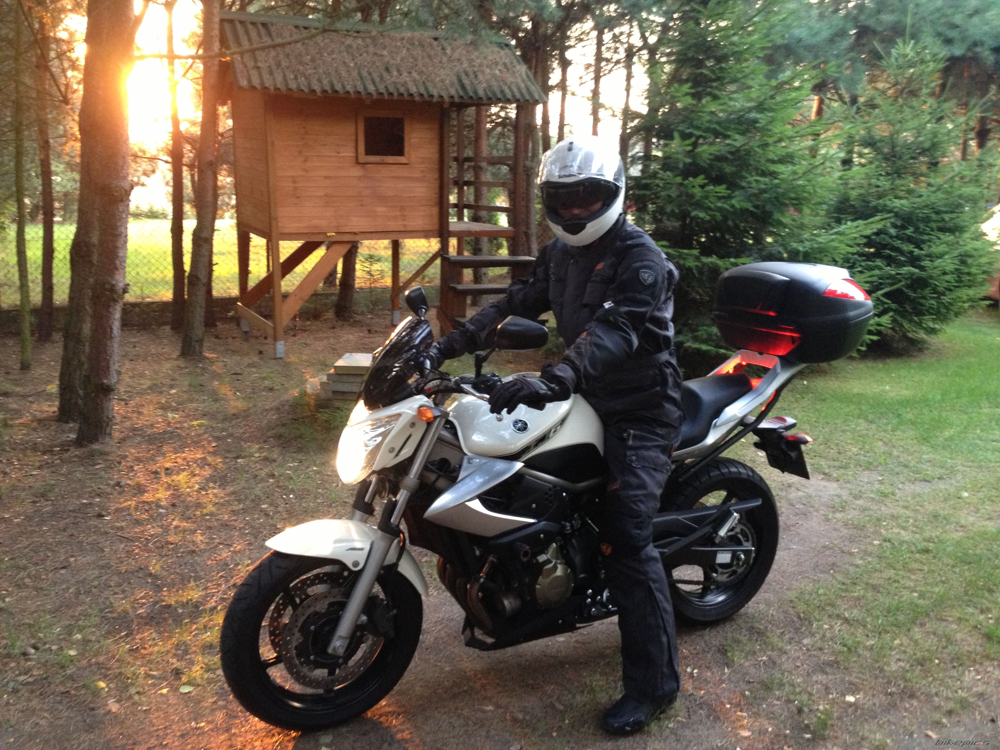 2009 YAMAHA XJ6N | Picture 2686049 motorcycle photo