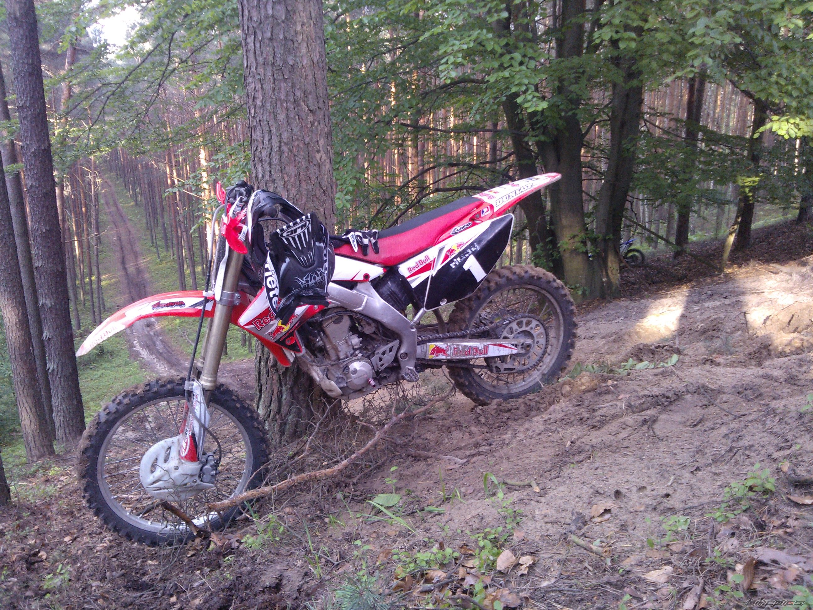 2005 HONDA CRF 250 | Picture 2686359 motorcycle photo