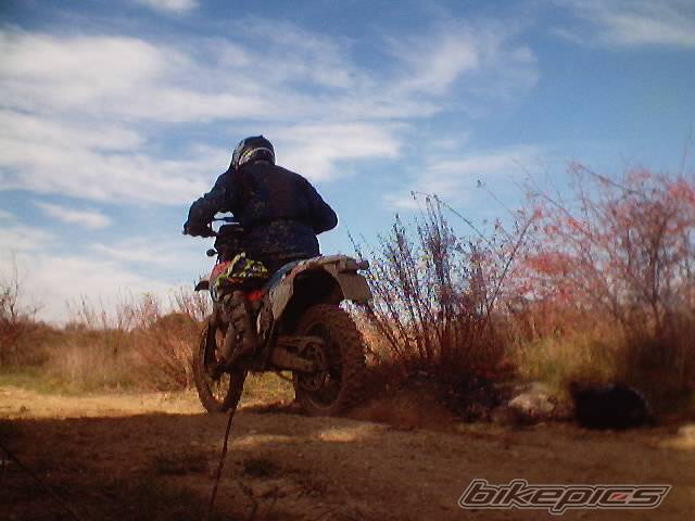 1996 HUSQVARNA WRE 125 | Picture 268645 motorcycle photo