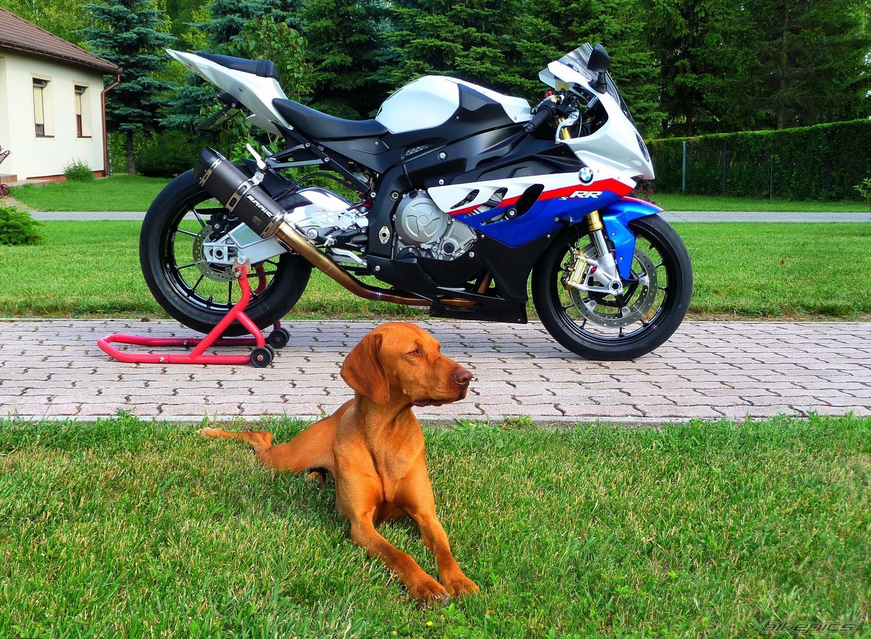 2011 BMW S 1000 RR | Picture 2687122 motorcycle photo