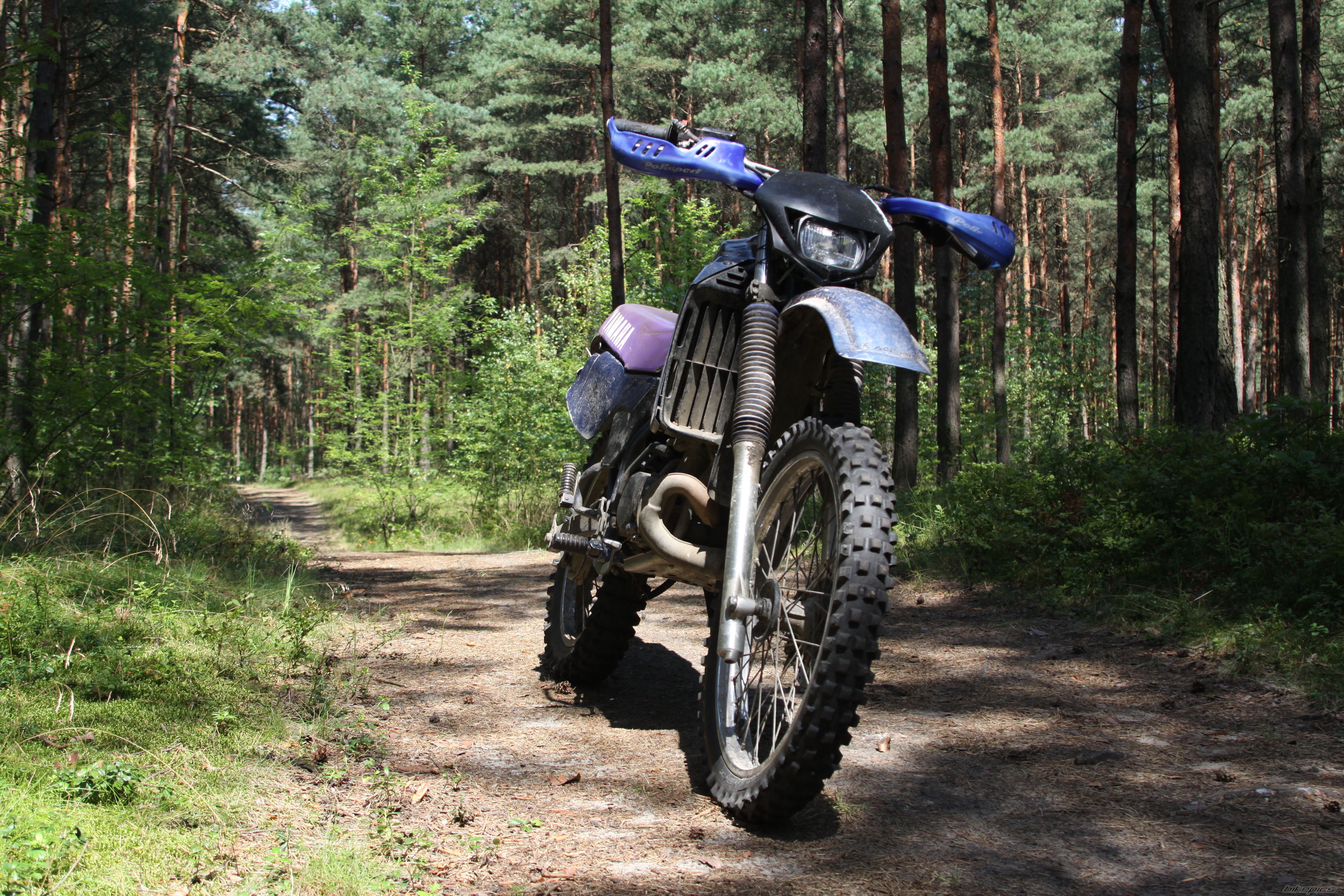 1993 YAMAHA DT 80LC 2 | Picture 2687402 motorcycle photo