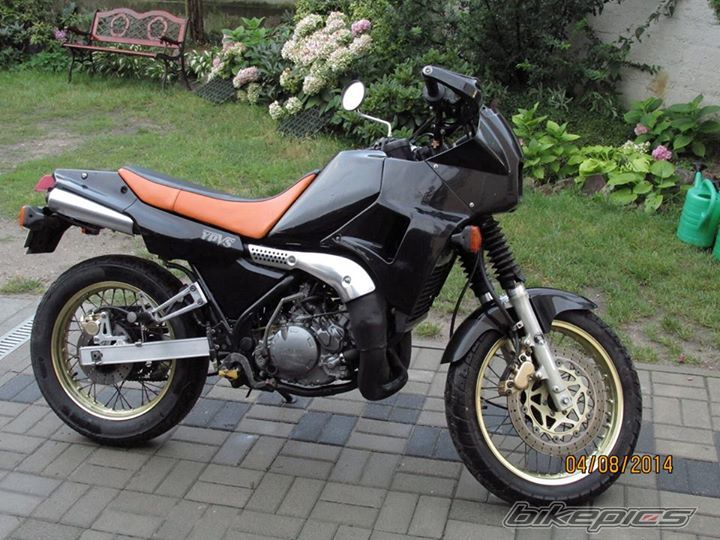 1996 YAMAHA TDR 250 | Picture 2687550 motorcycle photo