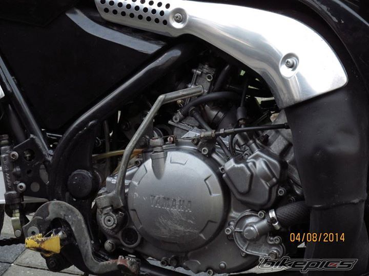 1996 YAMAHA TDR 250 | Picture 2687554 motorcycle photo