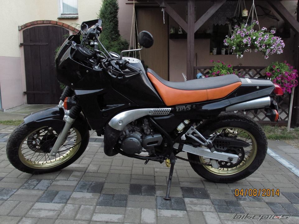 1996 YAMAHA TDR 250 | Picture 2687555 motorcycle photo