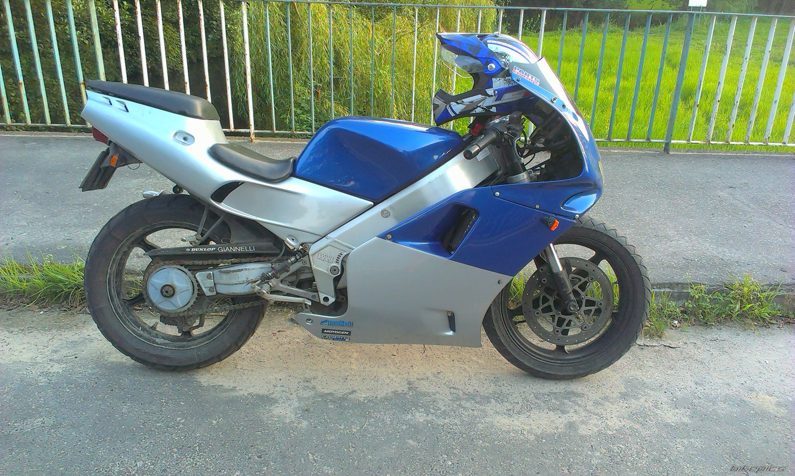 1991 APRILIA AF1 SPORT PRO 125 | Picture 2687766 motorcycle photo