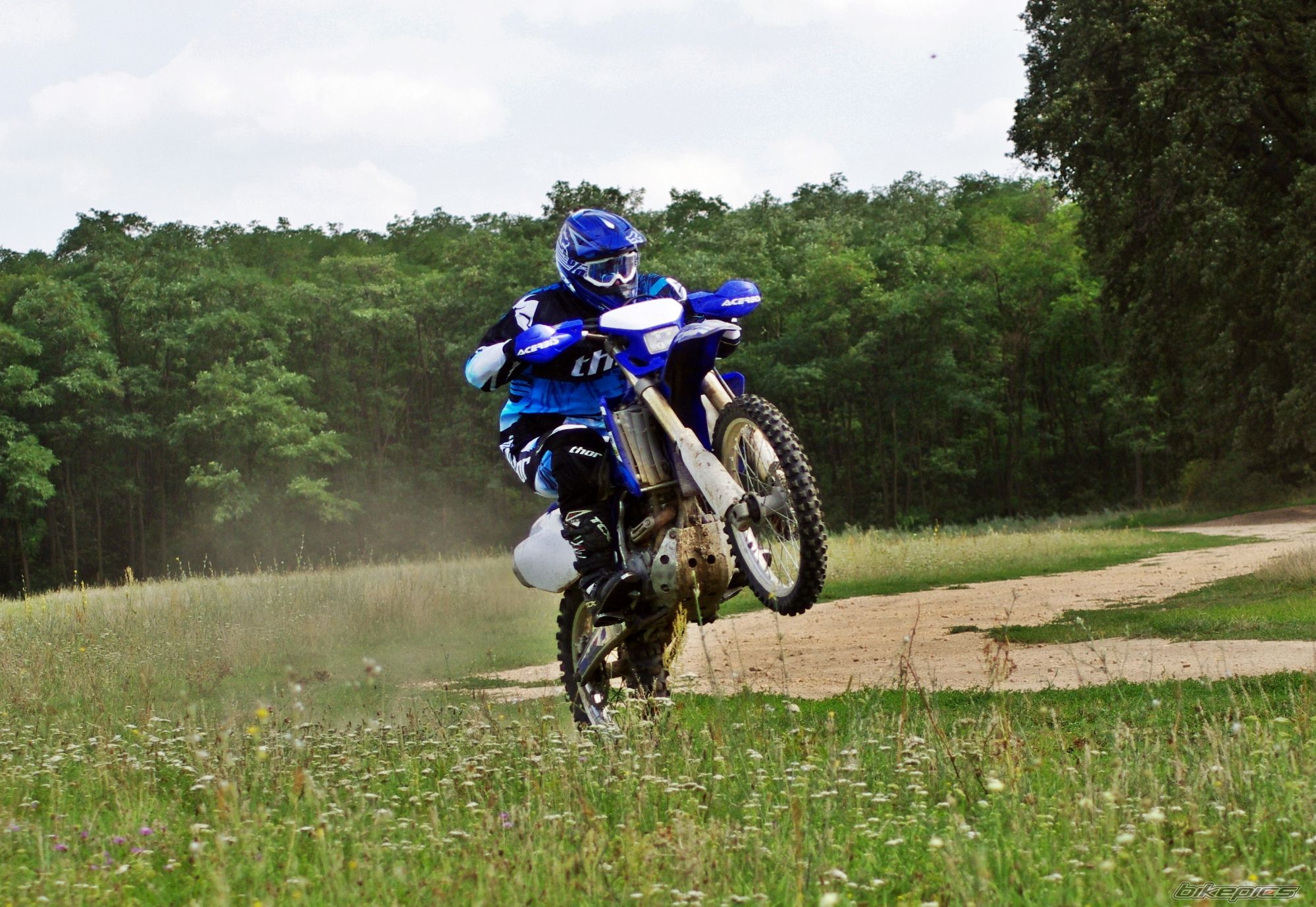 2006 YAMAHA WR 250F | Picture 2688910 motorcycle photo