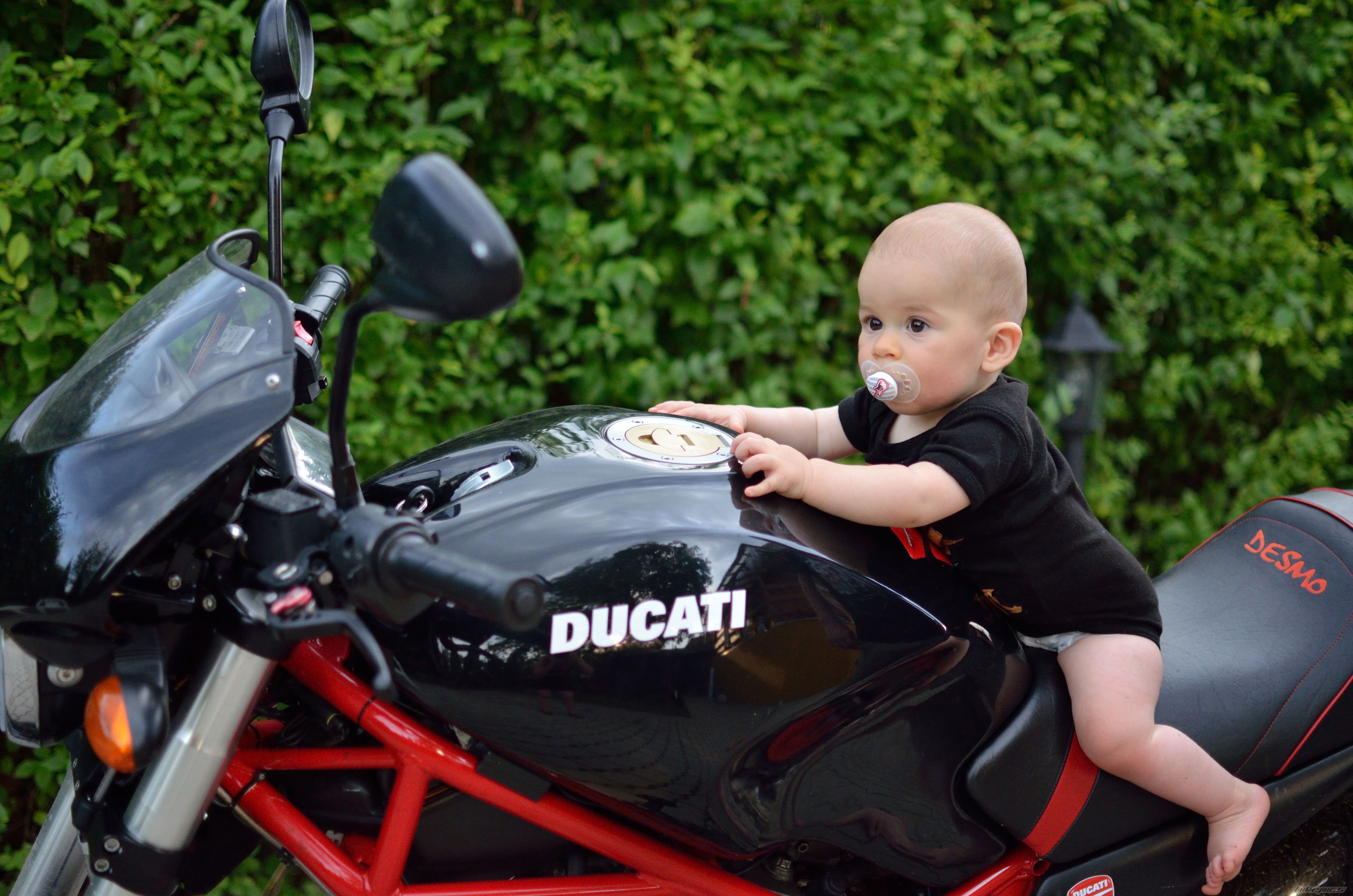 2008 DUCATI MONSTER 695 | Picture 2688947 motorcycle photo