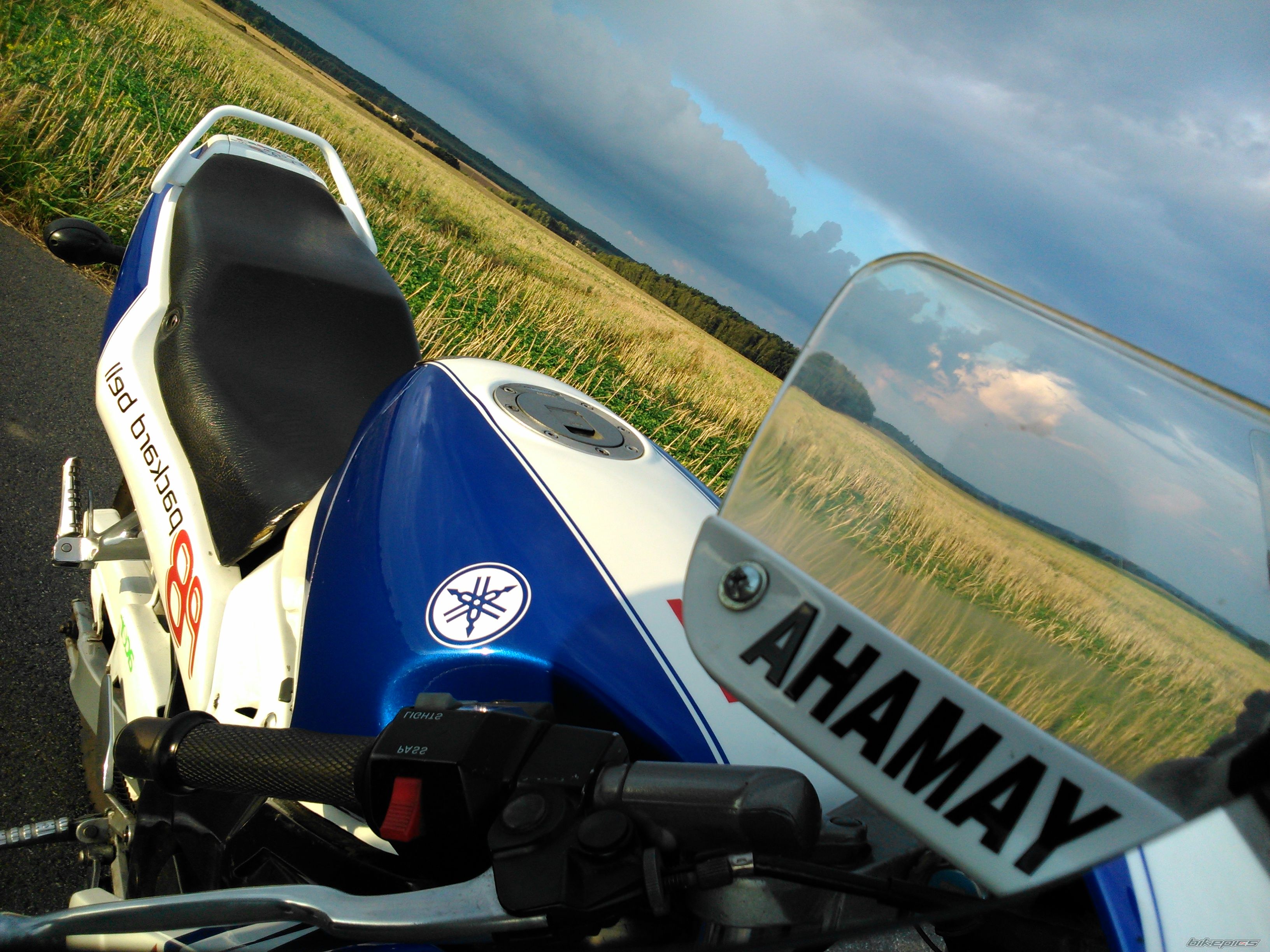2001 YAMAHA TZR 80 RR | Picture 2690000 motorcycle photo