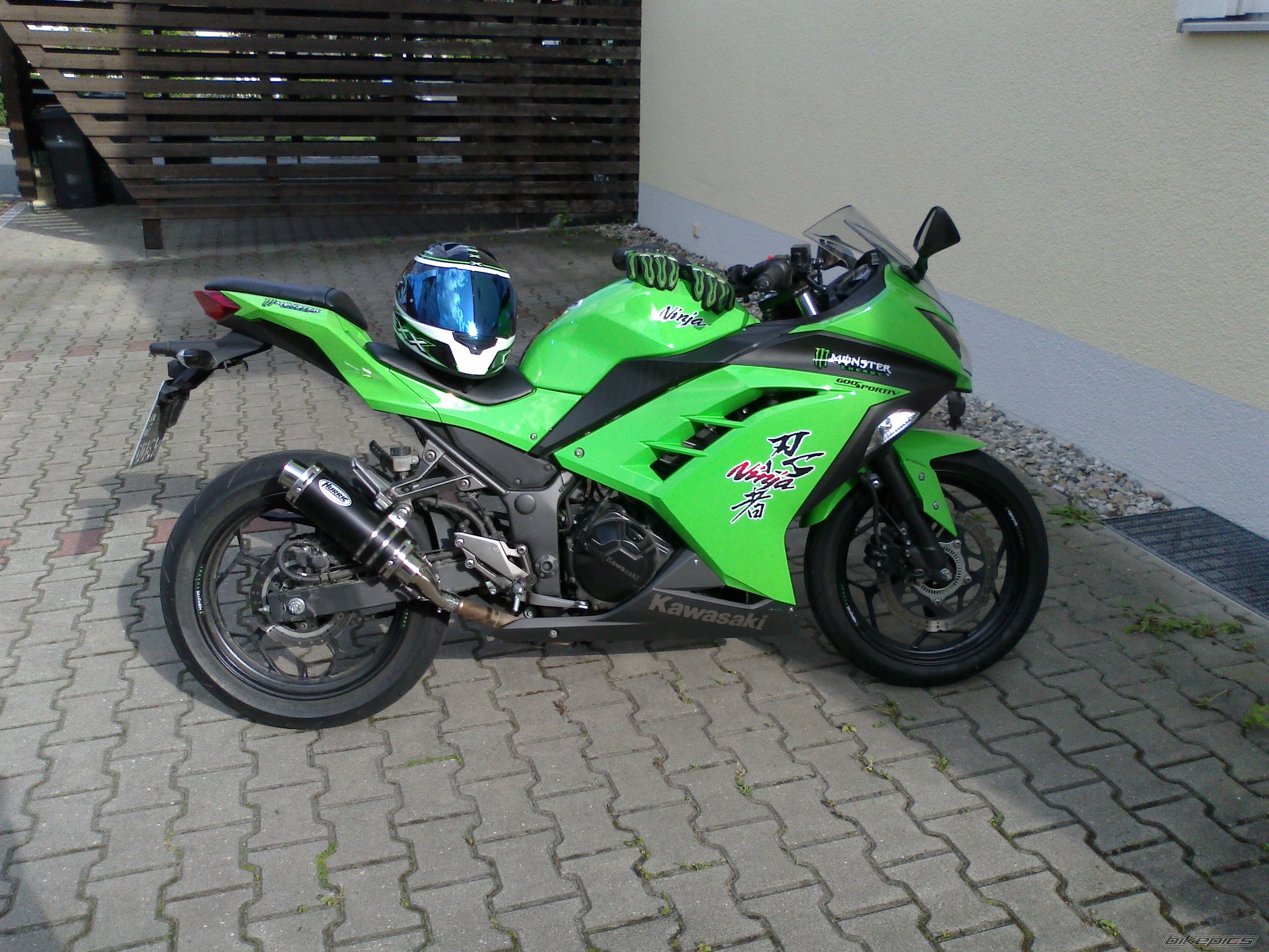 2013 KAWASAKI NINJA 300 | Picture 2690596 motorcycle photo