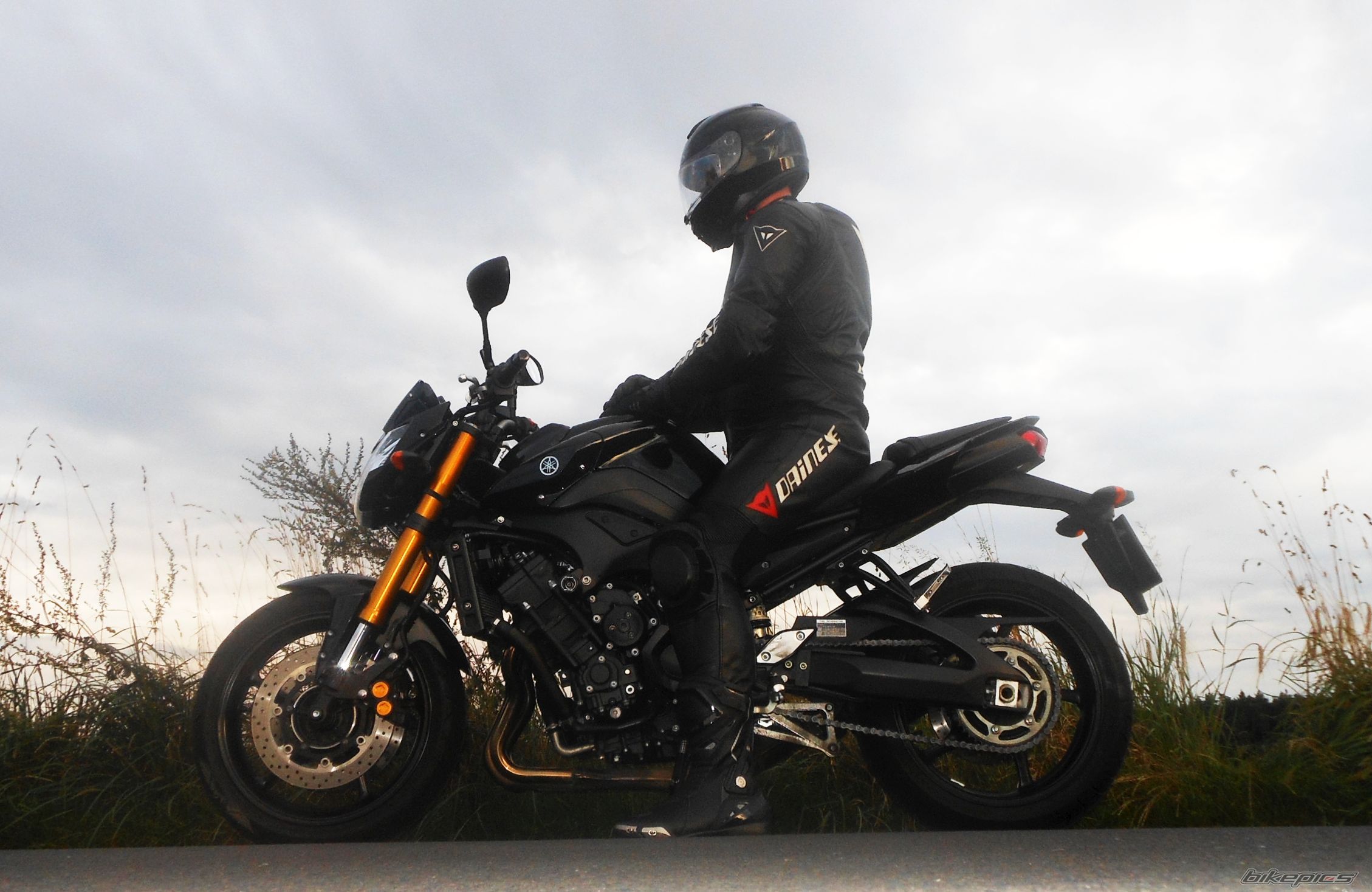 2009 YAMAHA FZ 8 | Picture 2692233 motorcycle photo