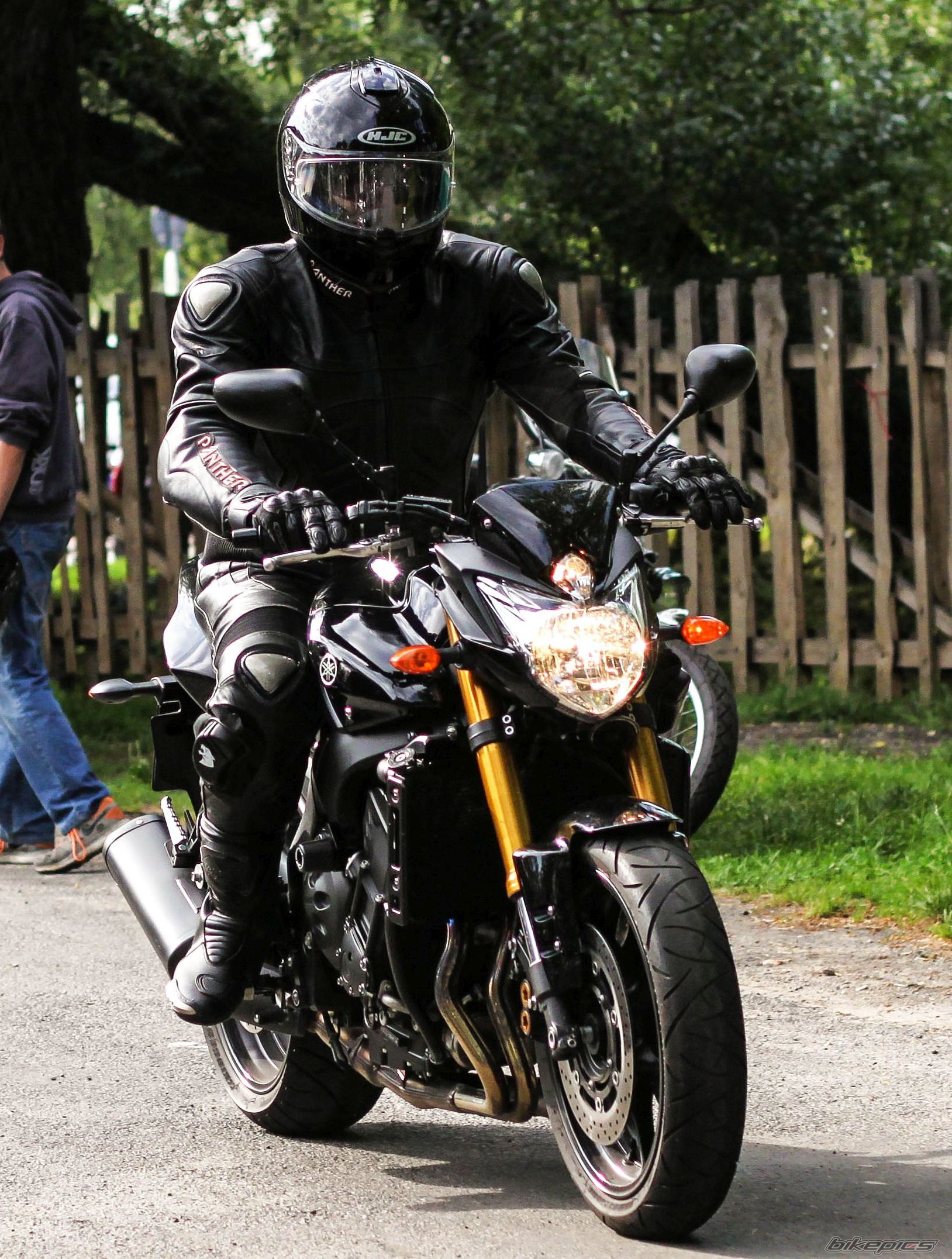 2009 YAMAHA FZ 8 | Picture 2692647 motorcycle photo