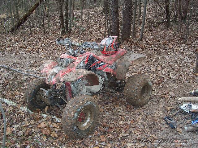 2003 HONDA 400EX | Picture 269293 motorcycle photo