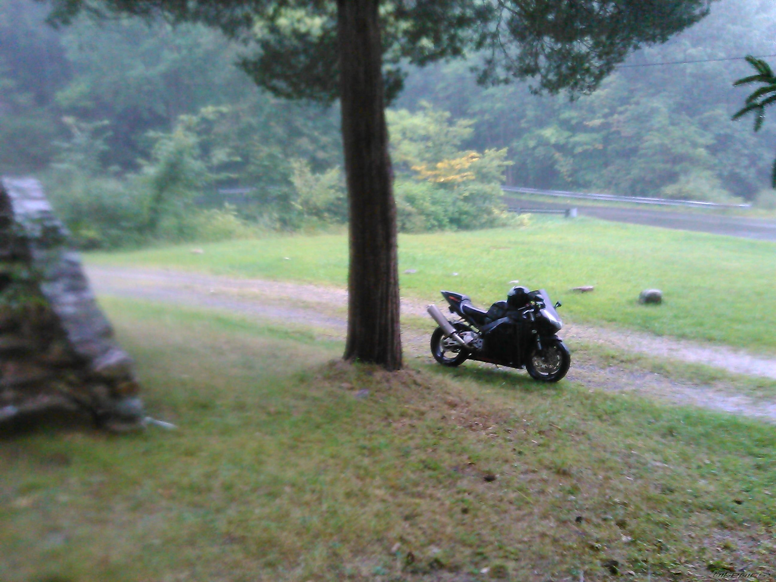 2003 HONDA CBR 954RR | Picture 2693214 motorcycle photo