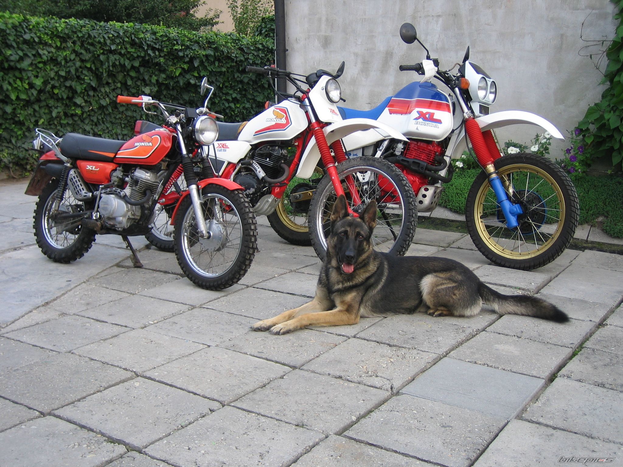1977 HONDA XL 50 E | Picture 2693463 motorcycle photo