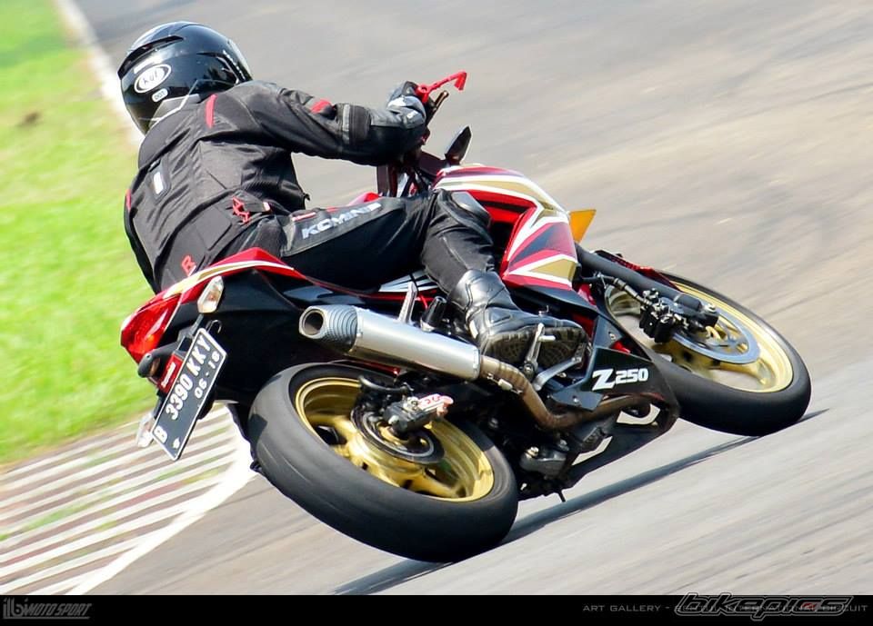 2013 KAWASAKI Z 250 | Picture 2694037 motorcycle photo