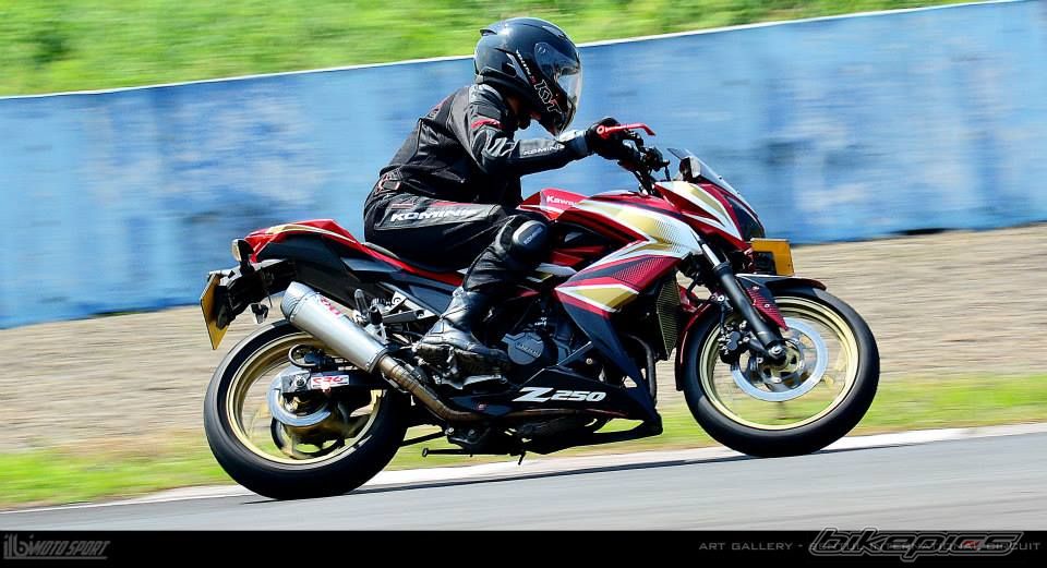 2013 KAWASAKI Z 250 | Picture 2694038 motorcycle photo