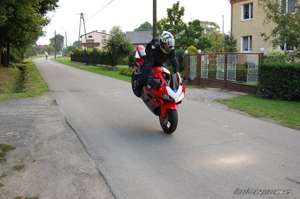 2004 HONDA CBR 1000  RR | Picture 2694771 motorcycle photo