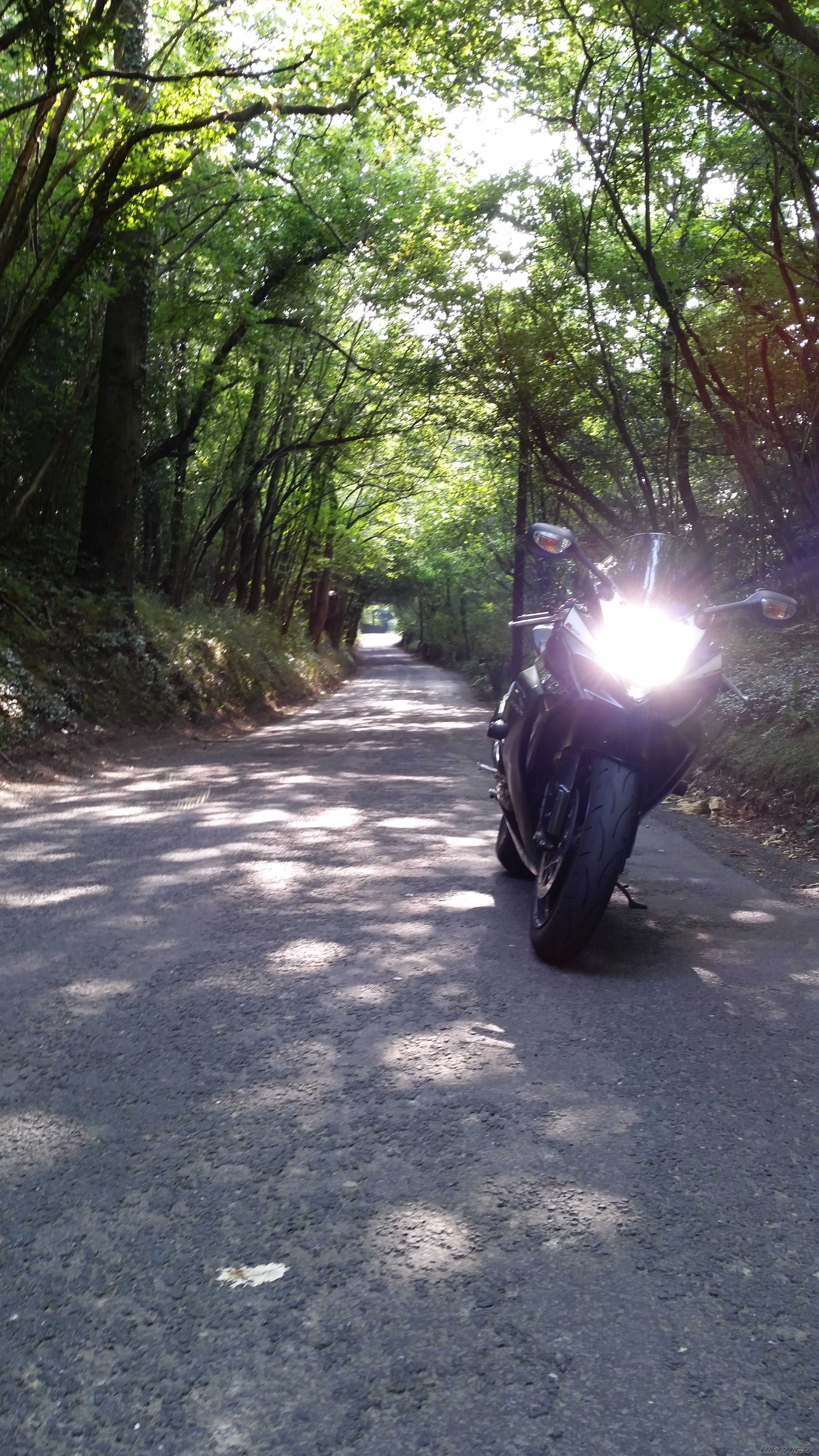 2008 SUZUKI GSX R 1000 | Picture 2695094 motorcycle photo