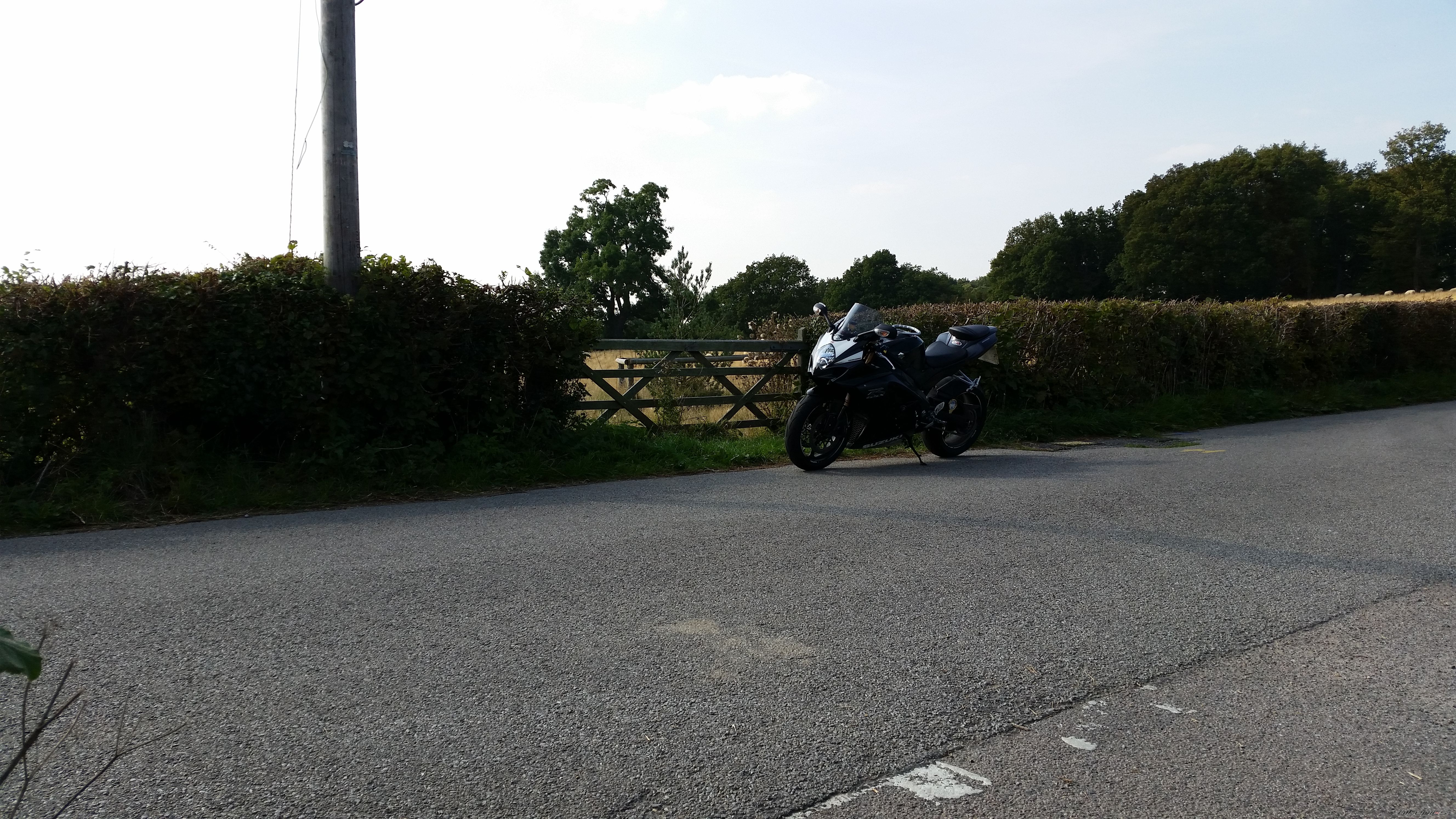 2008 SUZUKI GSX R 1000 | Picture 2695105 motorcycle photo