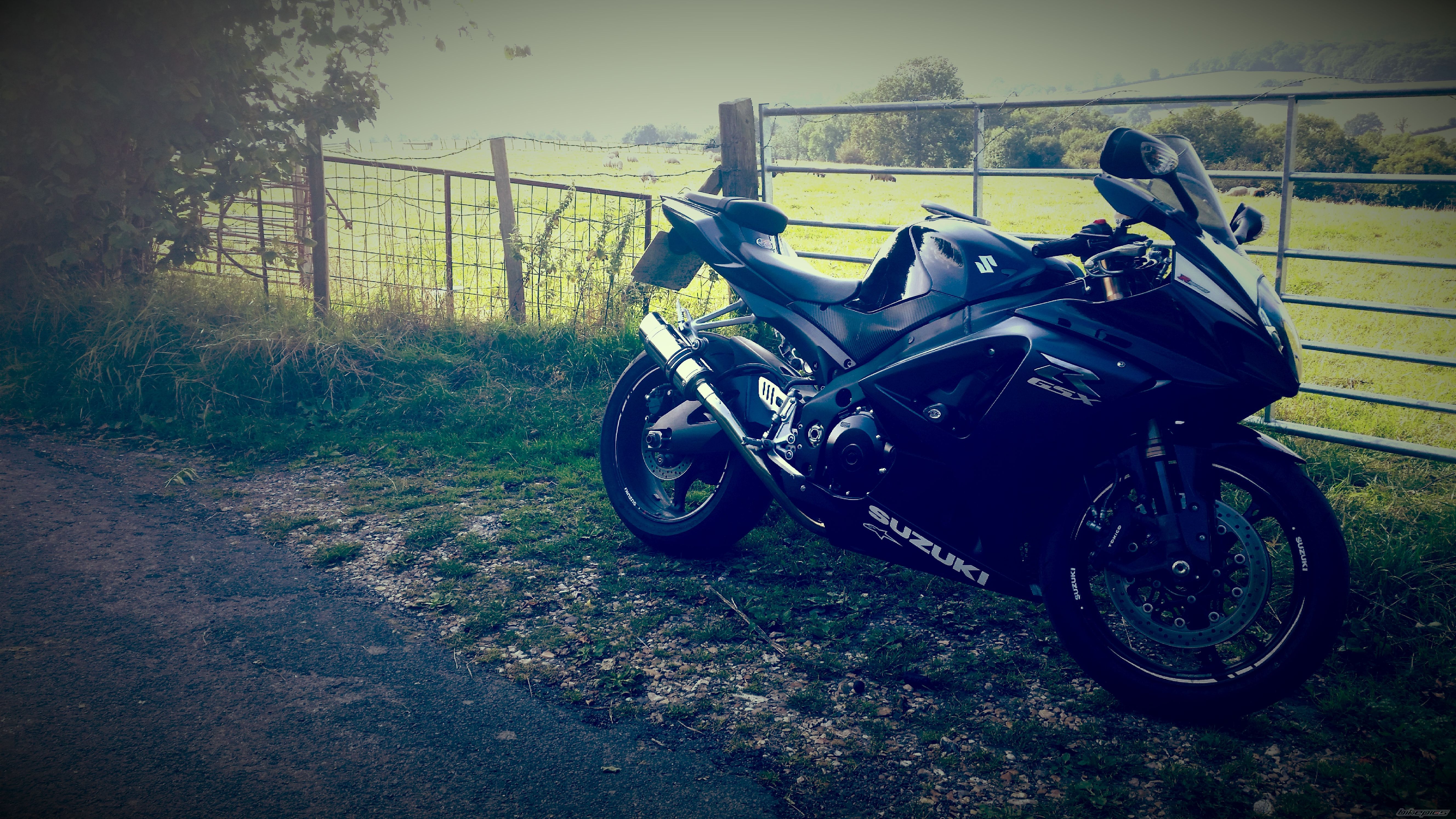 2008 SUZUKI GSX R 1000 | Picture 2695108 motorcycle photo
