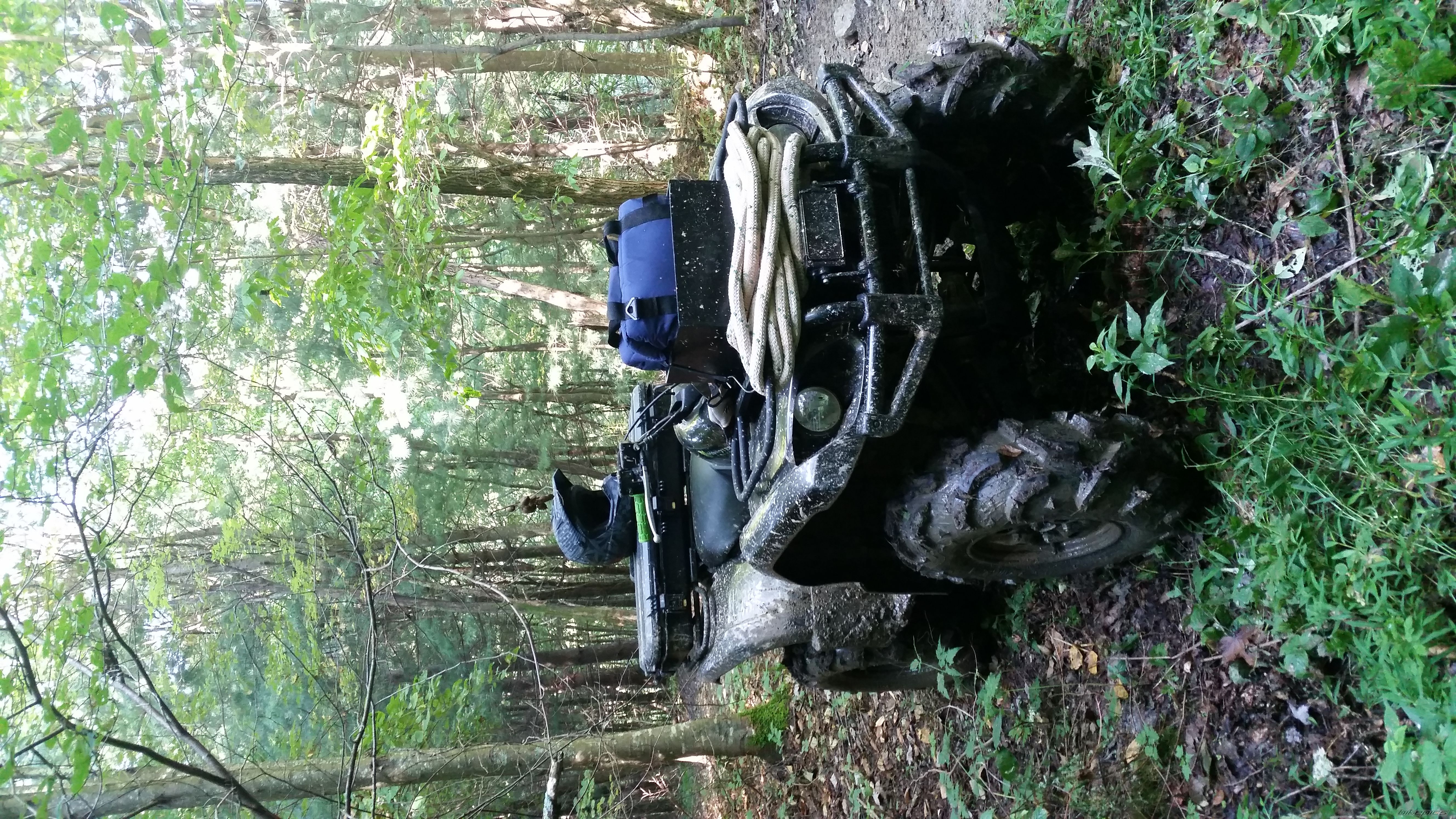 2004 YAMAHA GRIZZLY | Picture 2695420 motorcycle photo
