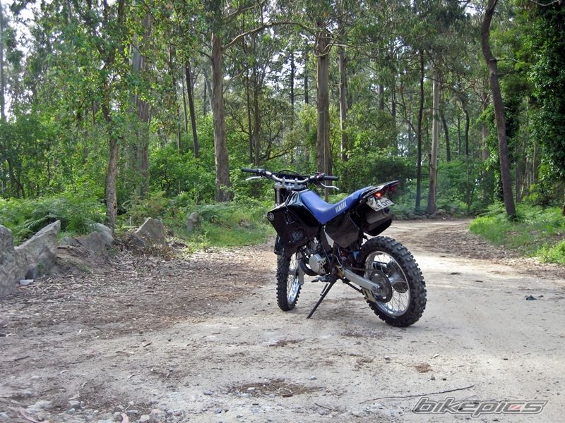 1994 YAMAHA DT125R | Picture 2695453 motorcycle photo